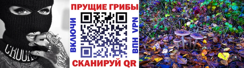 Псилоцибиновые грибы ЛСД Белёв